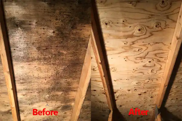 water damage restoration service Crystal Lakes